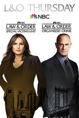 法律与秩序：组织犯罪第二季第22集